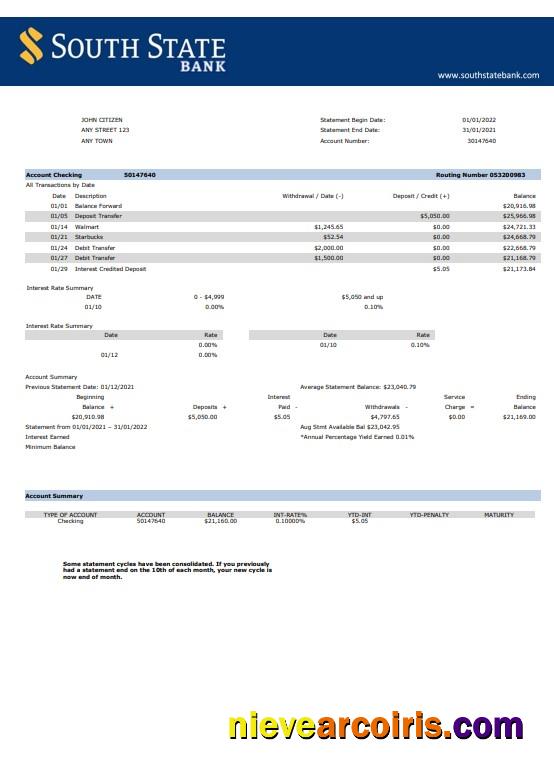 USA South State Bank statement Word and PDF